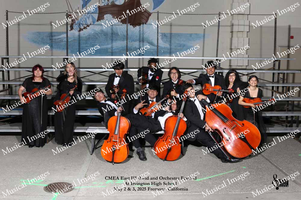 Musical Images
